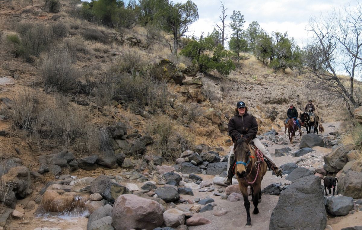 People riding horses along a rocky trail. Brown and gray landscape with sparse vegetation.