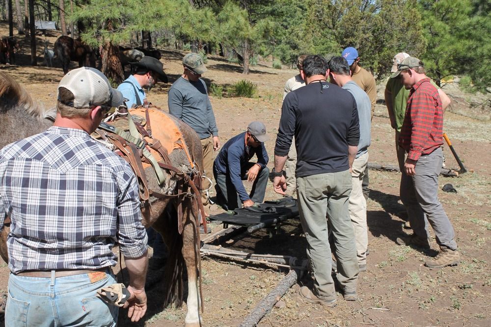 Group of people near a saddled pack animal, outdoors. Men are gathered around, examining gear, in a wooded area.
