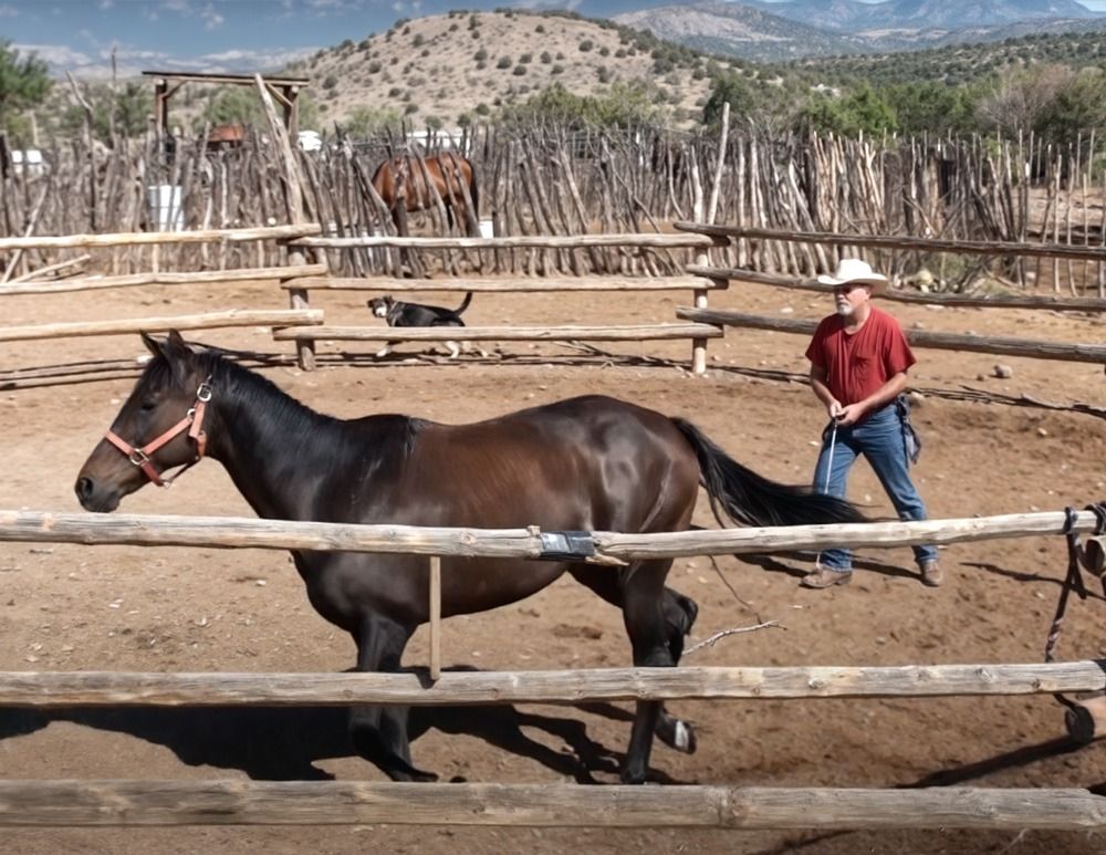 People riding horses along a rocky trail. Brown and gray landscape with sparse vegetation.