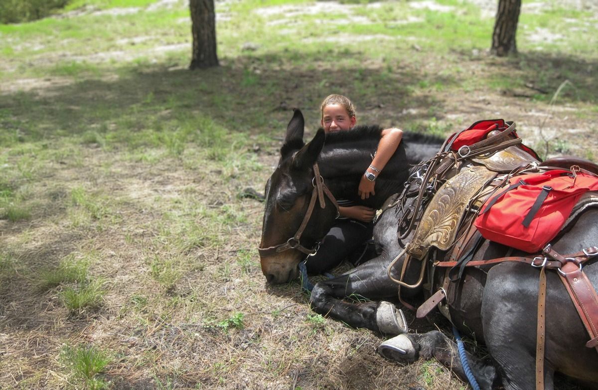 Person lying with a dark horse on a grassy trail, saddled with red packs among trees