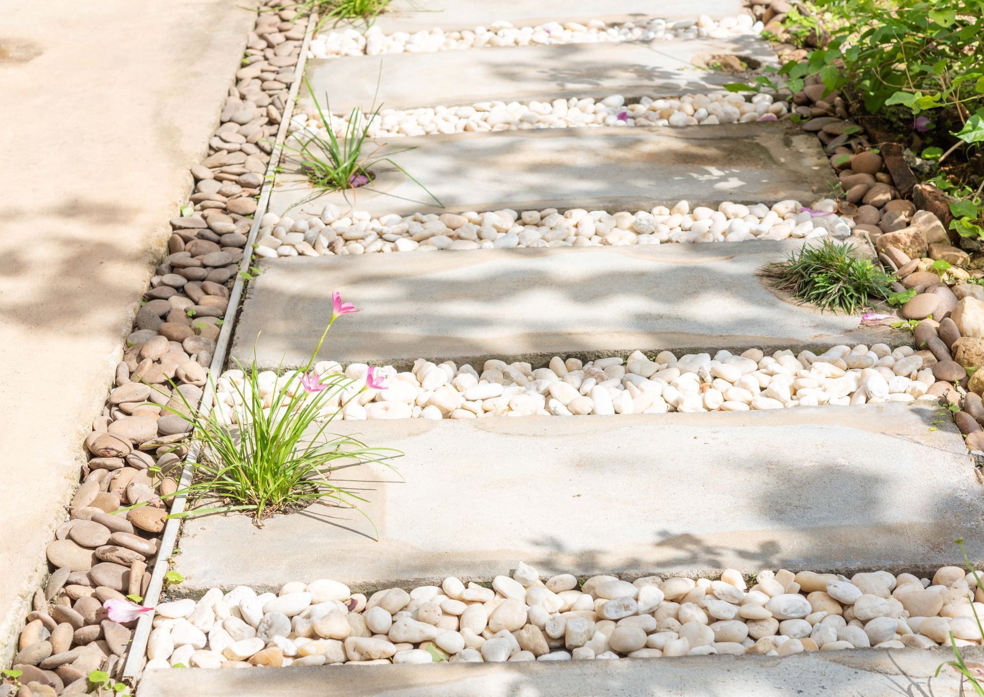 Stepping stone pathway with white pebbles and plants in a landscaped residential garden. Stepping stone pathway with white pebbles and plants in a landscaped residential garden.