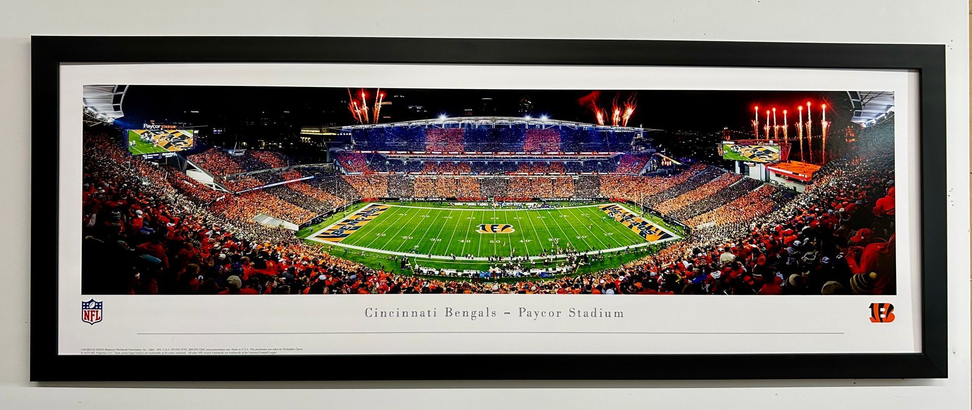 Cincinnati Bengals Paycor Stadium Framed Panorama