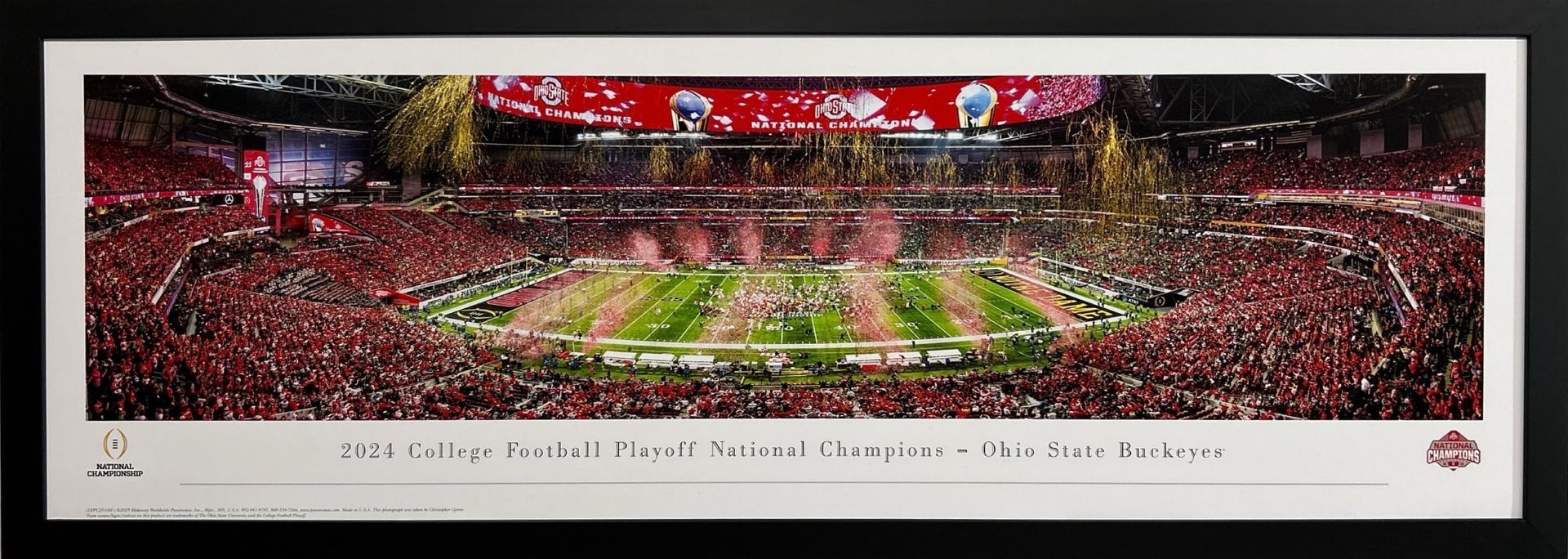 Cincinnati Reds Stadium Panoramic Print