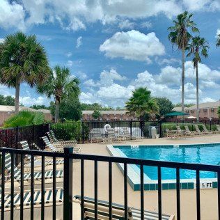Swimming Pool Fence