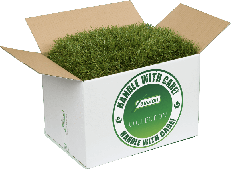 A cardboard box filled with green grass that says handle with care