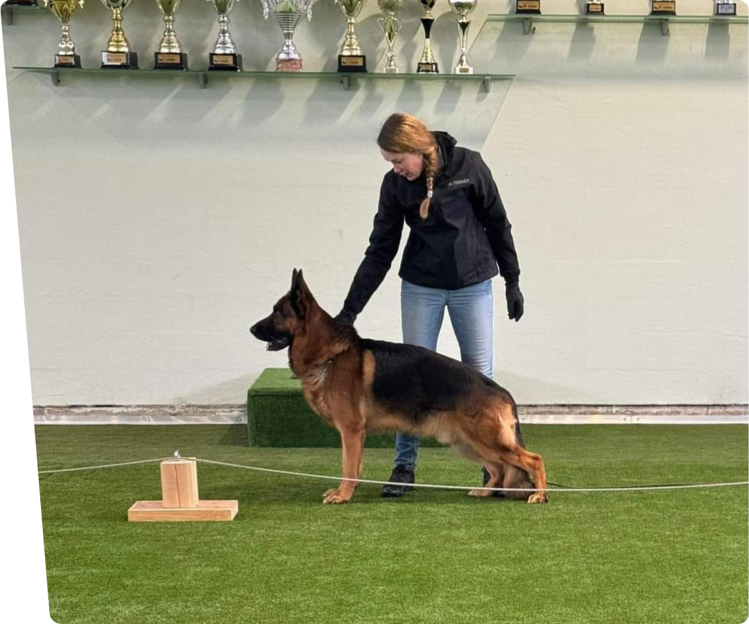 Petgrass at dog training center Latvia
