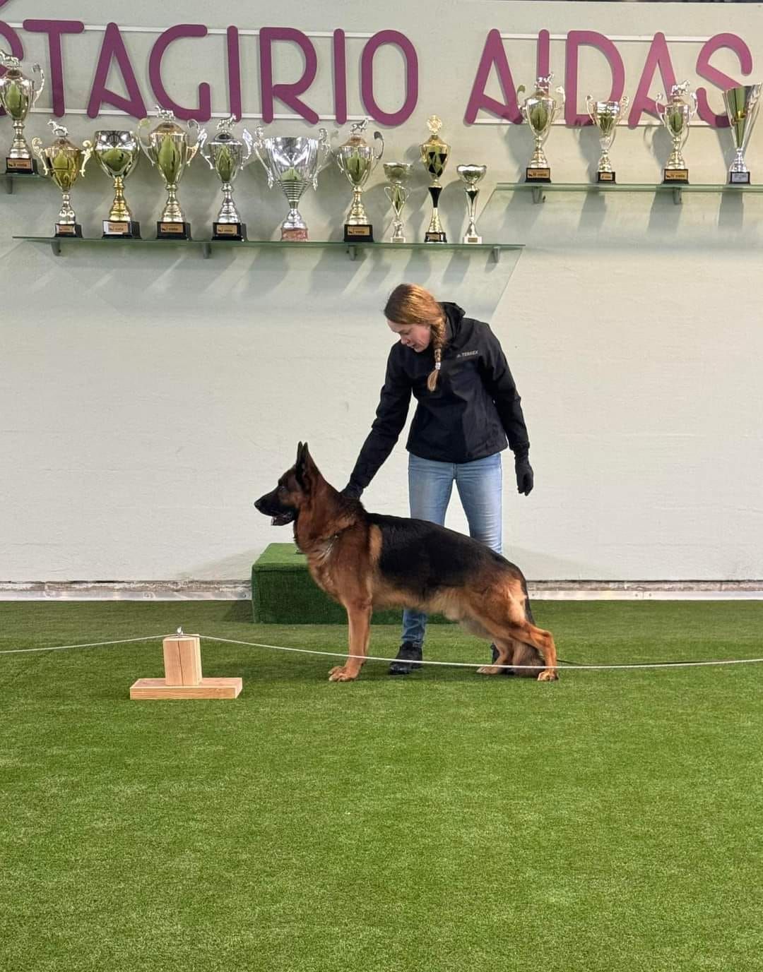 Petgrass at dog training center Latvia