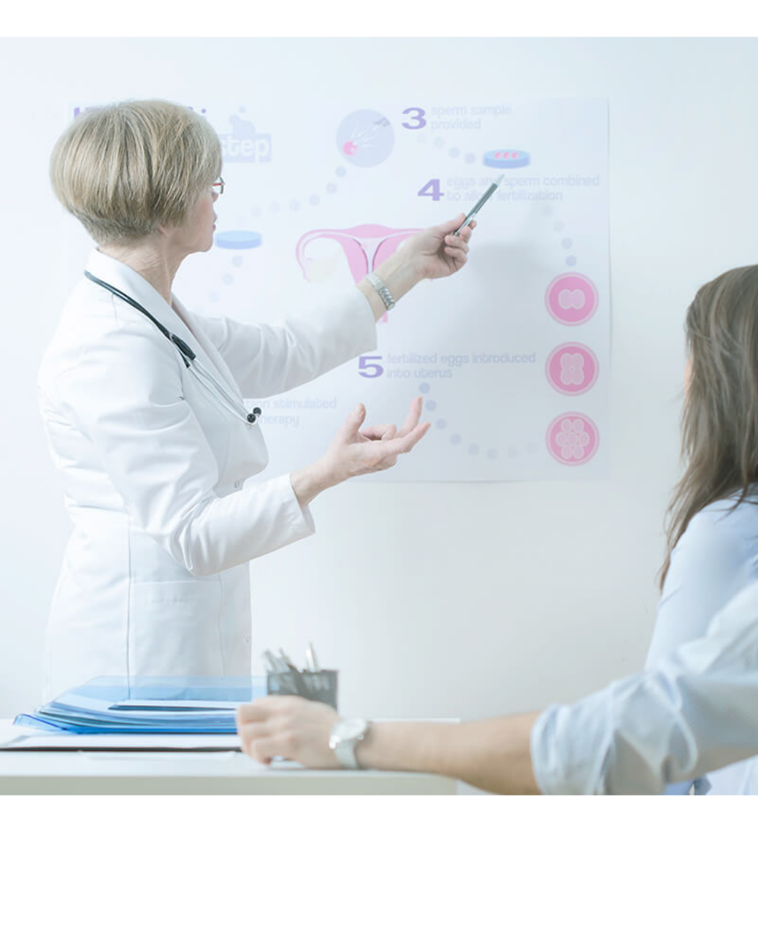 Modulo 2 ¿Y ahora qué? Mi próximo paso en fertilidad?