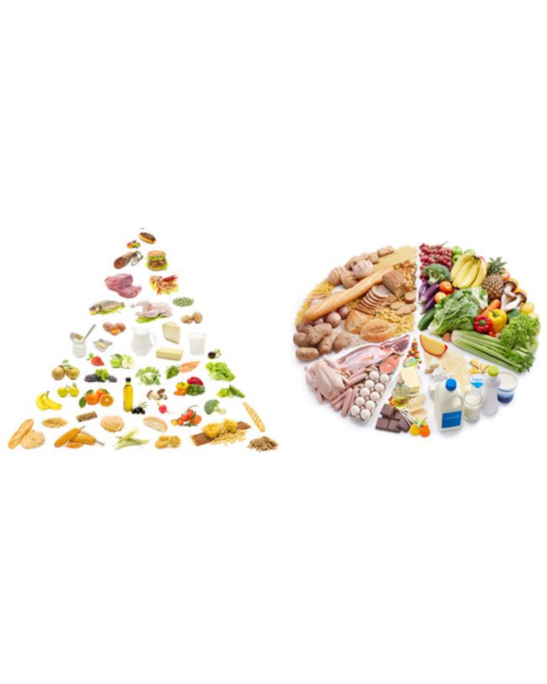Modulo 3 Alimentación y fertilidad.