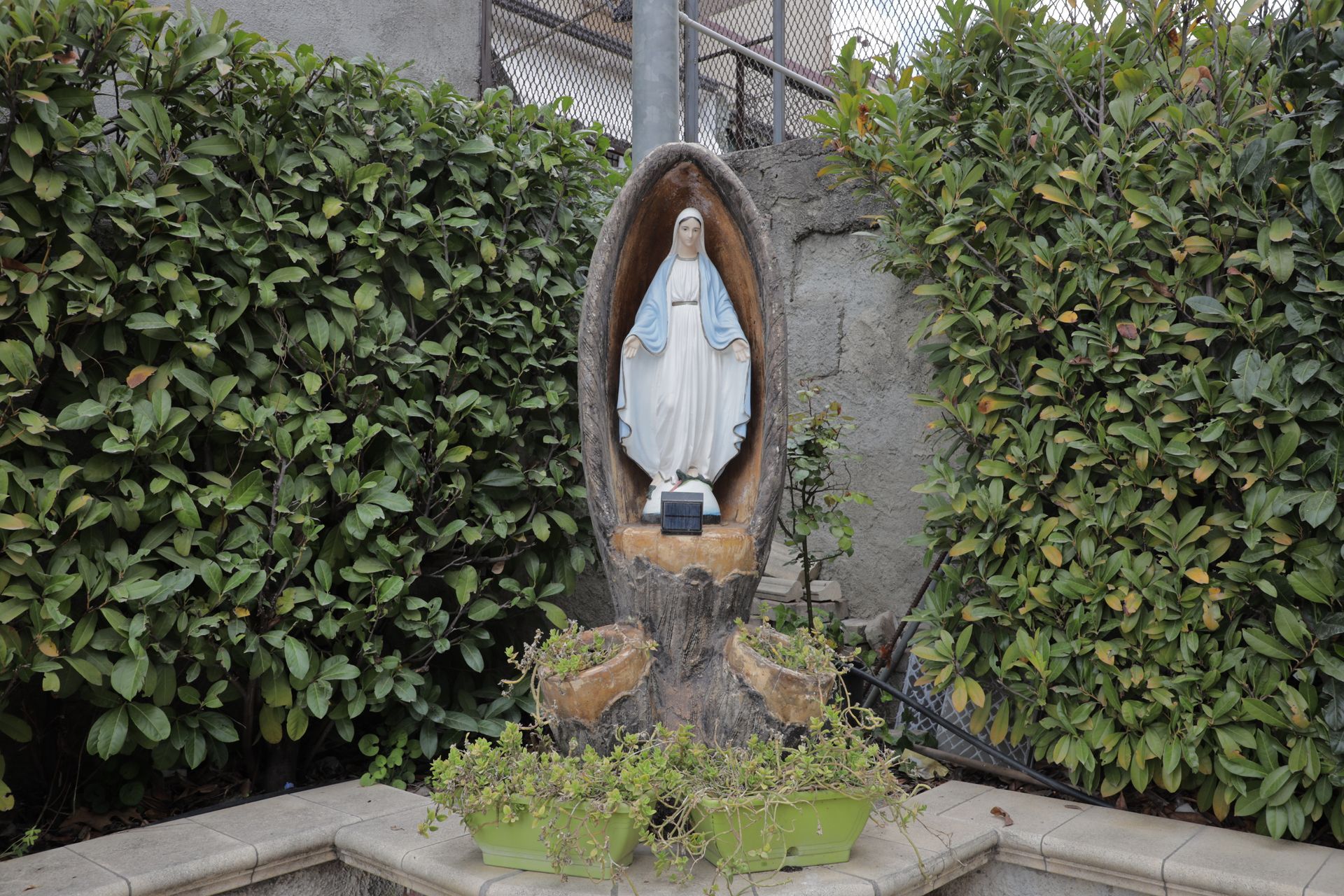 Una statua della Vergine Maria custodita in un piccolo santuario ricavato da un tronco d'albero intagliato, circondata da verde e piante in vaso.