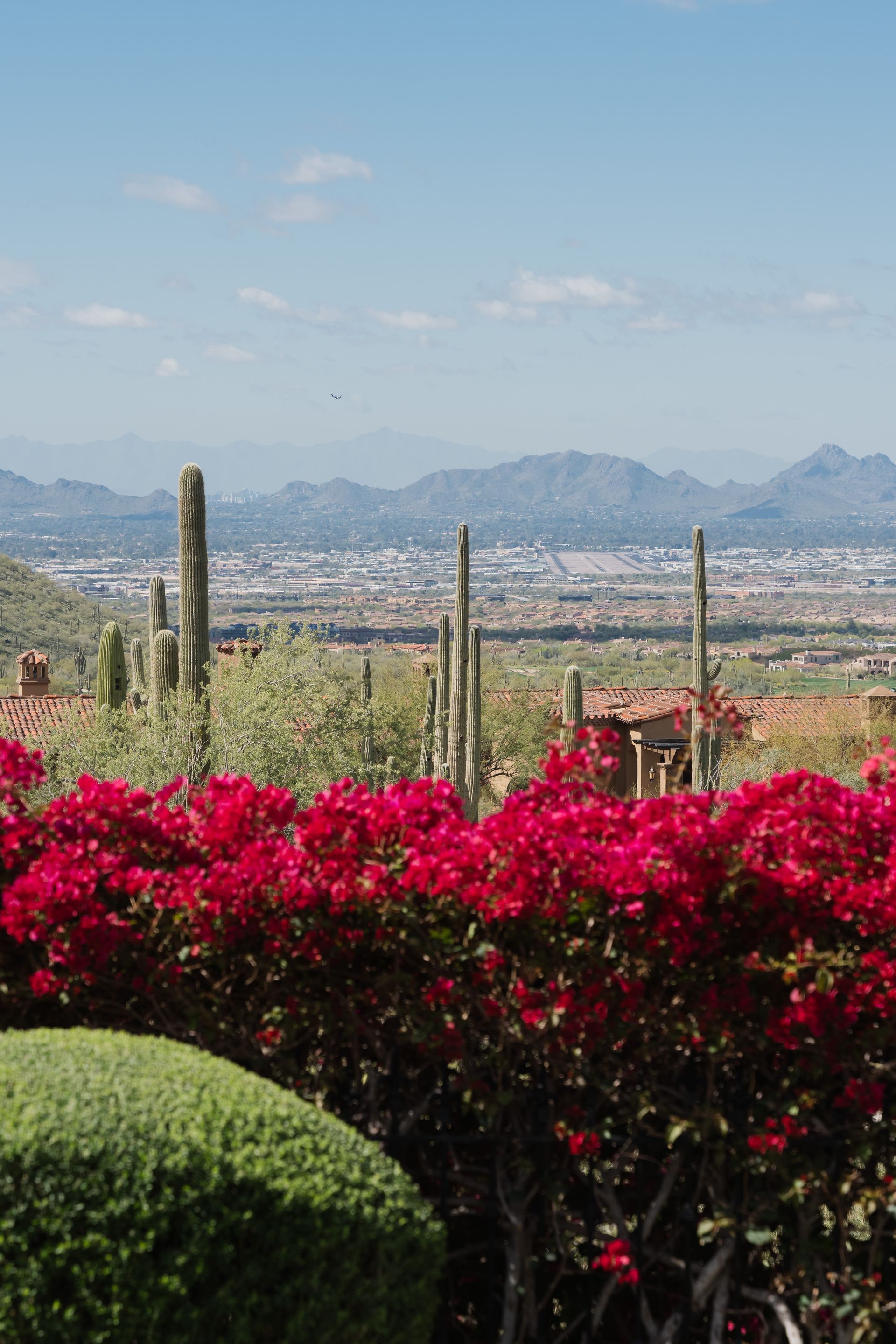 Red bougainvillea bushes in foreground; desert landscape with mountains and city in the distance under a blue sky.
