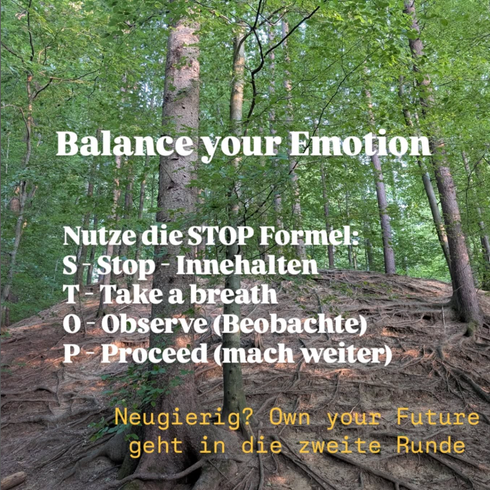 Ein Text über emotionales Gleichgewicht, in dem die