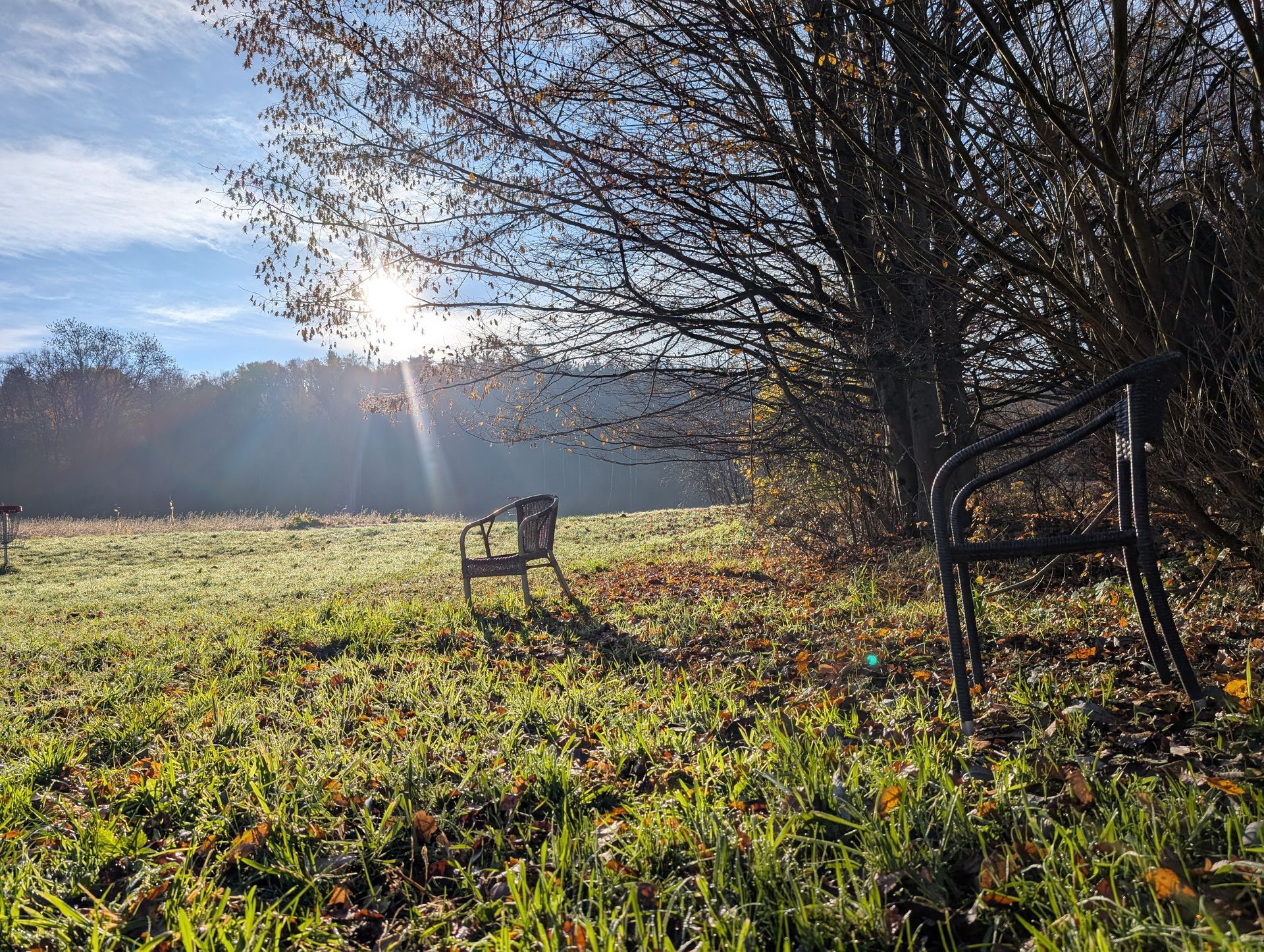Sonnenschein, Stuhl auf einer Wiese, Bäume im Hintergrund