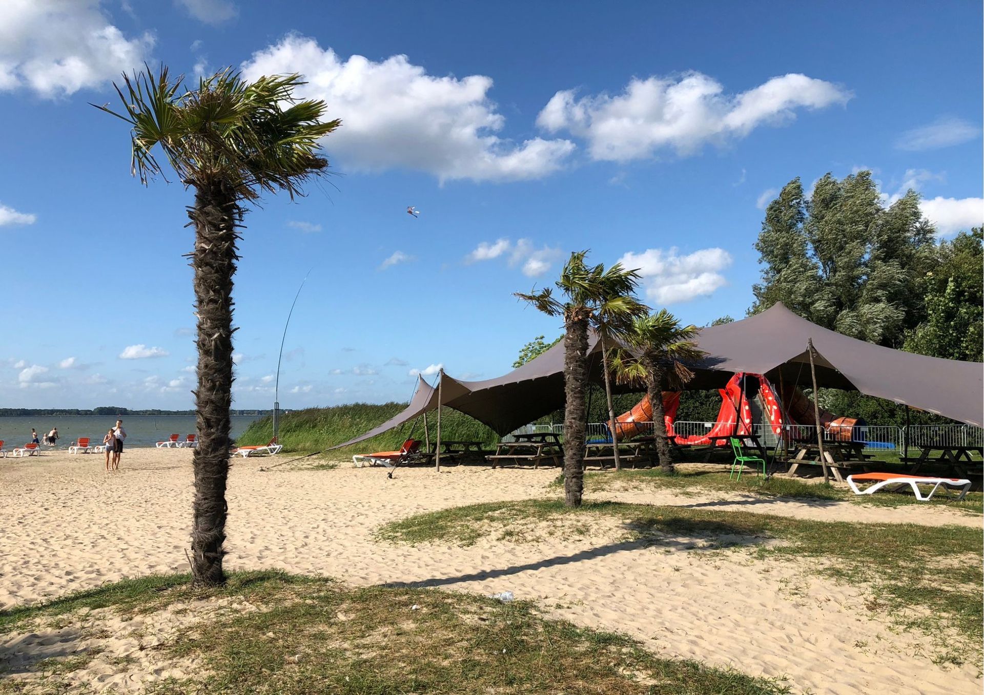 Strandtafereel: zandstrand, palmbomen, tenten, mensen in de verte, zonnige blauwe lucht.