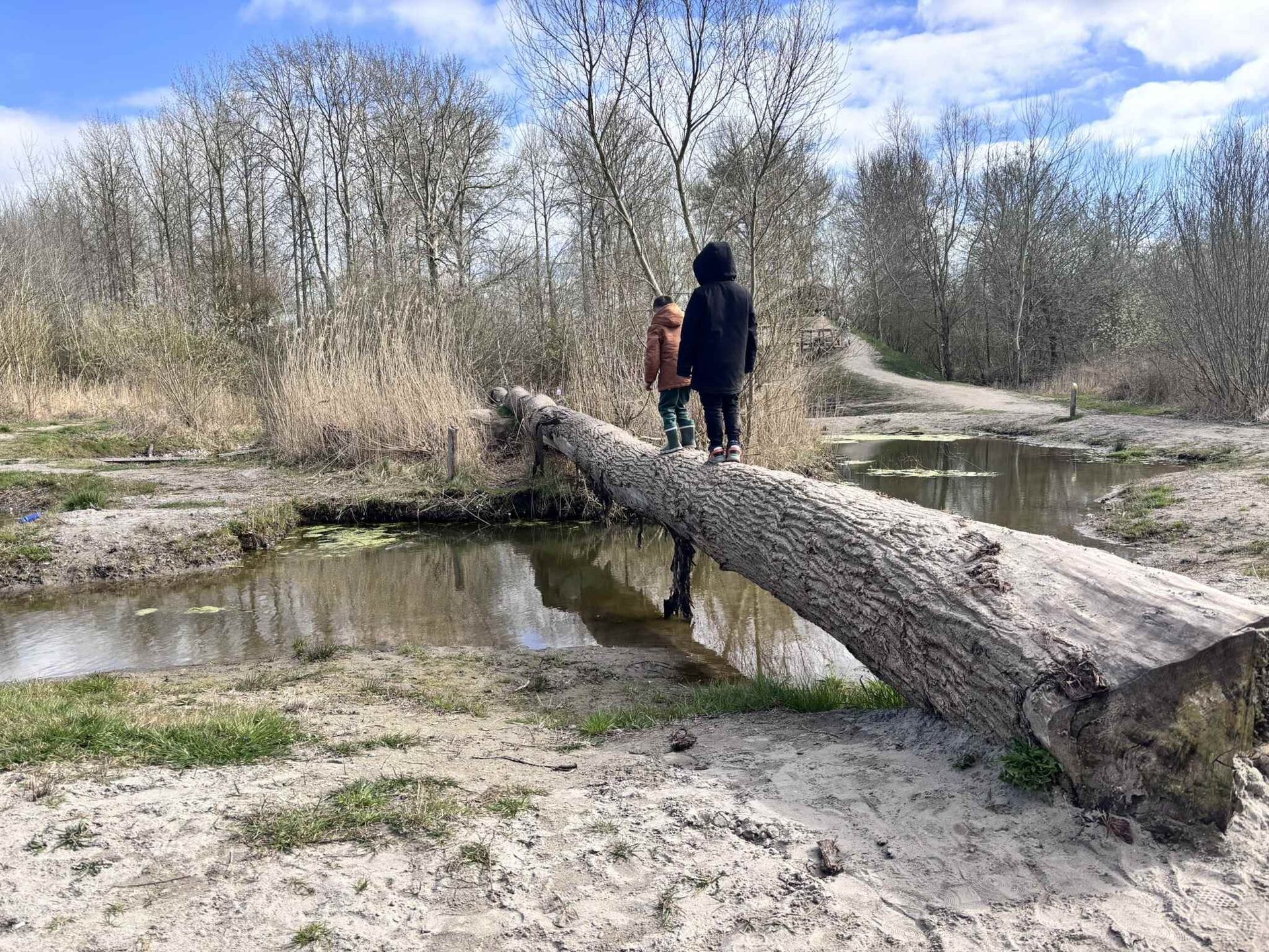 Twee mensen staan op een omgevallen boom boven het water. Zandgrond, bomen op de achtergrond.