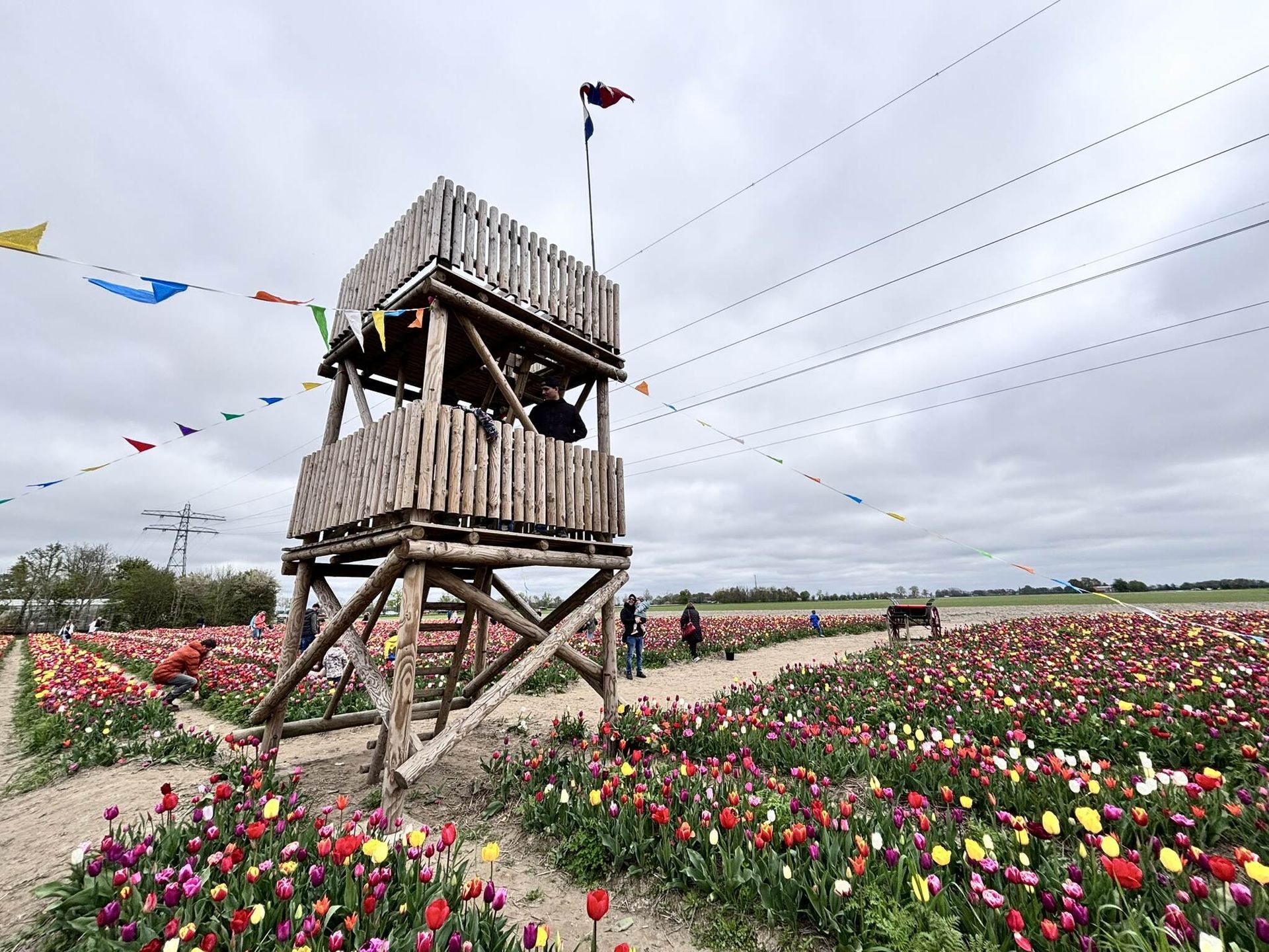Een houten toren in een tulpenveld onder een bewolkte hemel. Mensen lopen over de paden, met vlaggen die boven hen wapperen.