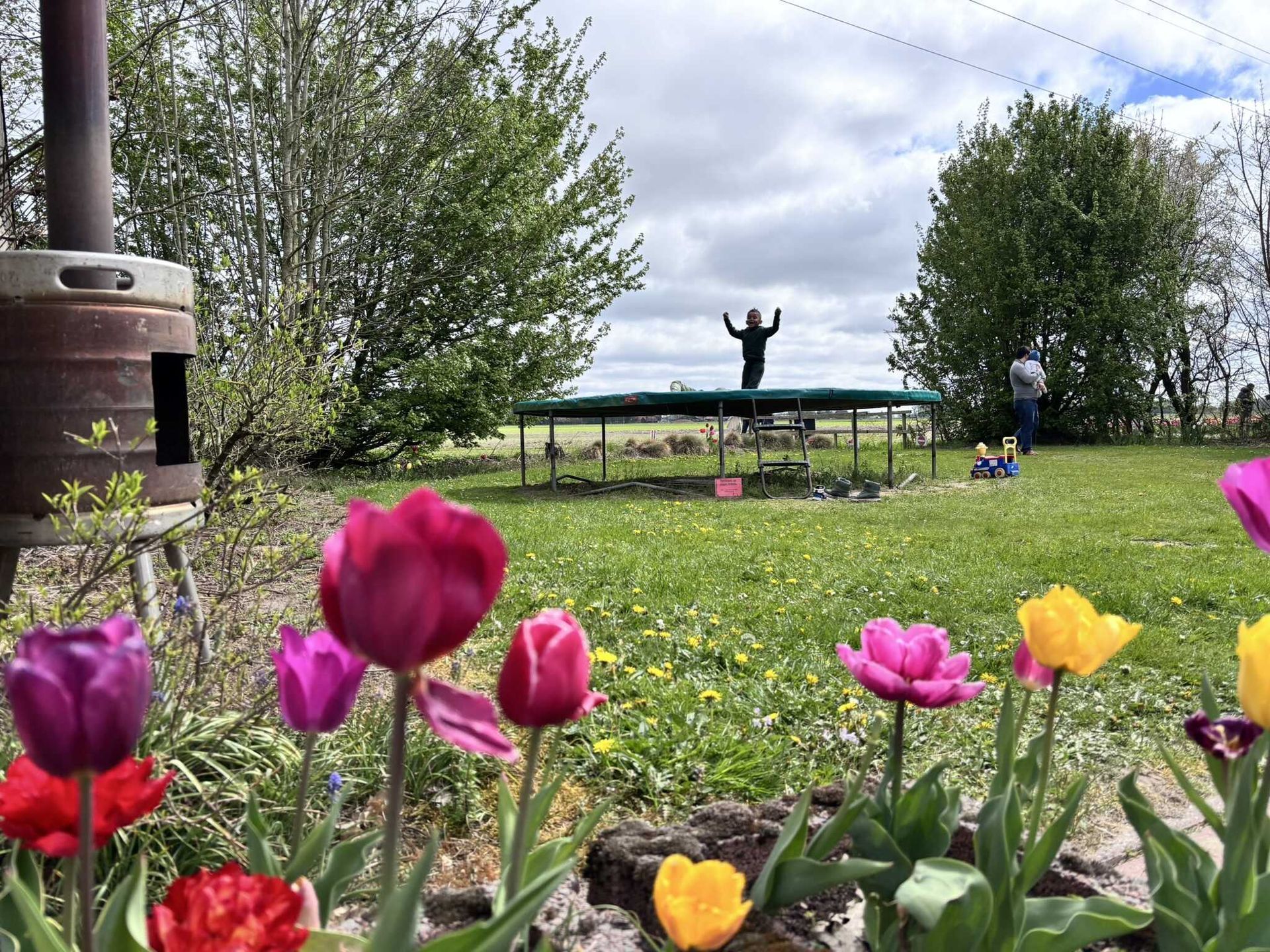 Tulpen bloeien op de voorgrond. Iemand springt op een trampoline in de achtertuin; een andere persoon is vlakbij. Metalen container, bomen, bewolkte lucht.