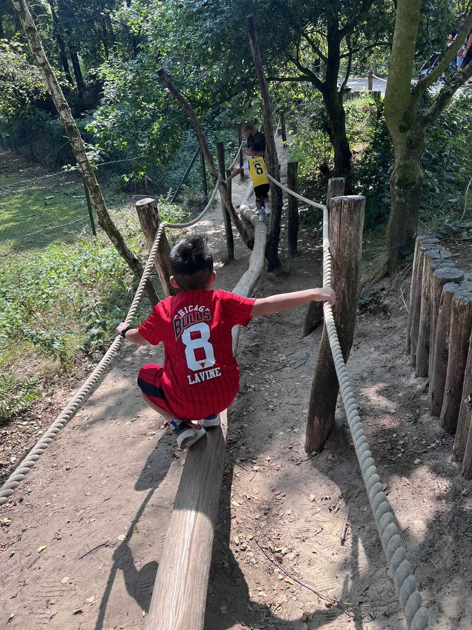 Een kind balanceert op een boomstam met touwleuningen in een bosrijk gebied. Het kind draagt een rood shirt.