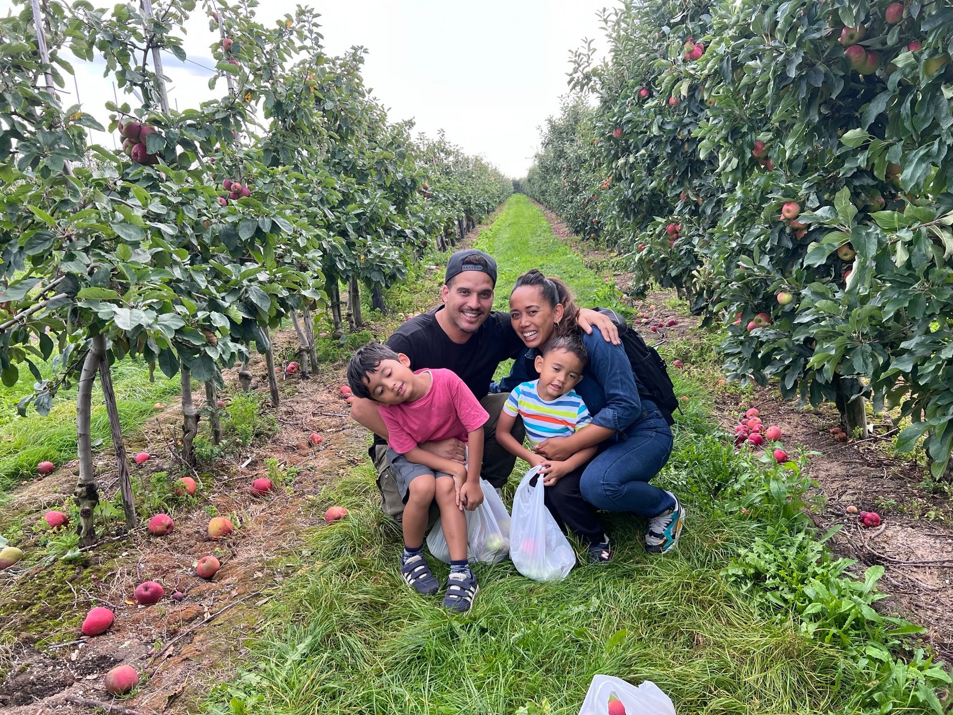 Een gezin in een appelboomgaard, lachend. Twee kinderen en hun ouders. Appels aan de bomen en op de grond.