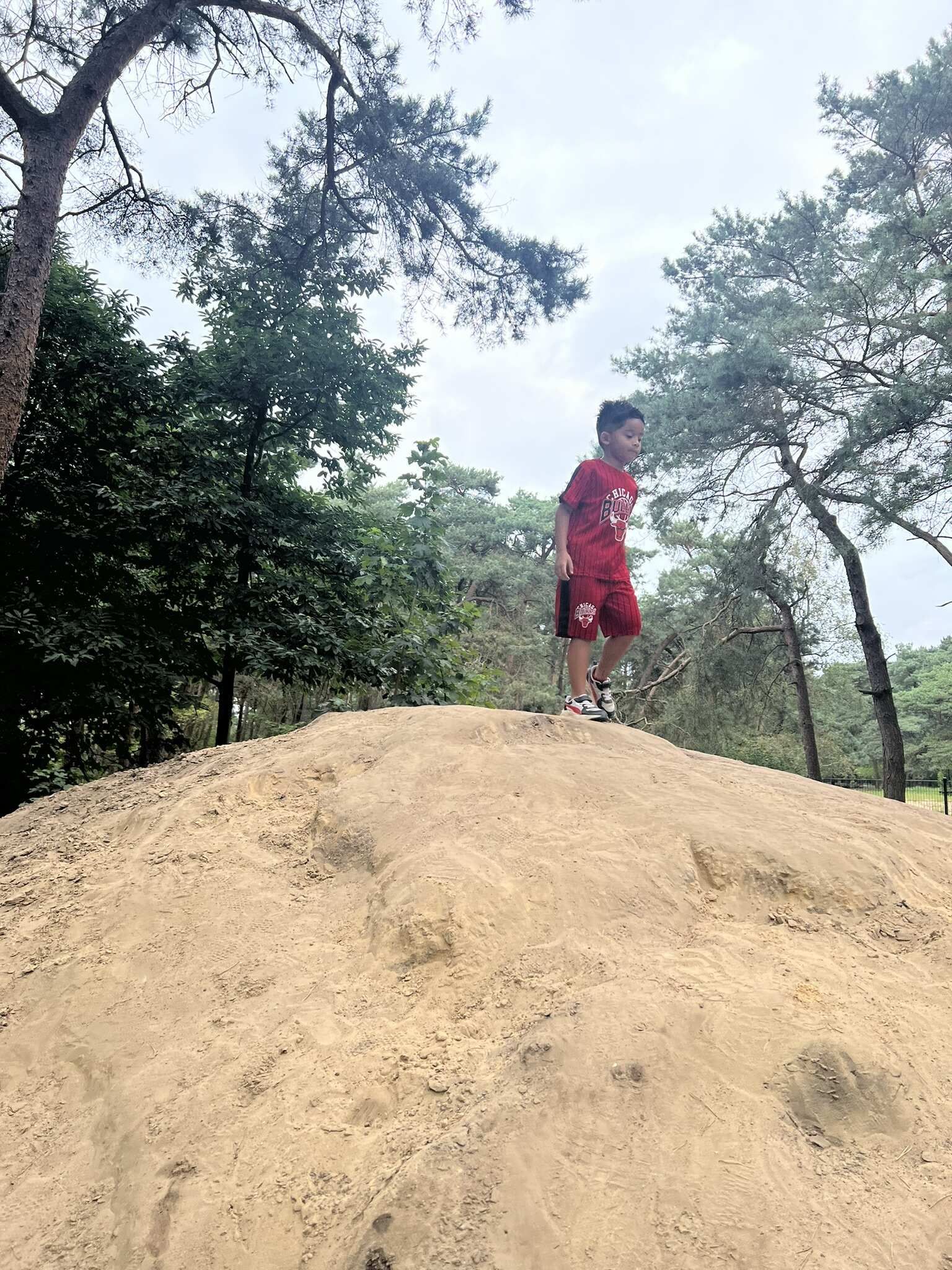 Een jongen in een rood shirt en korte broek staat op een zandheuvel in een park, met bomen op de achtergrond.