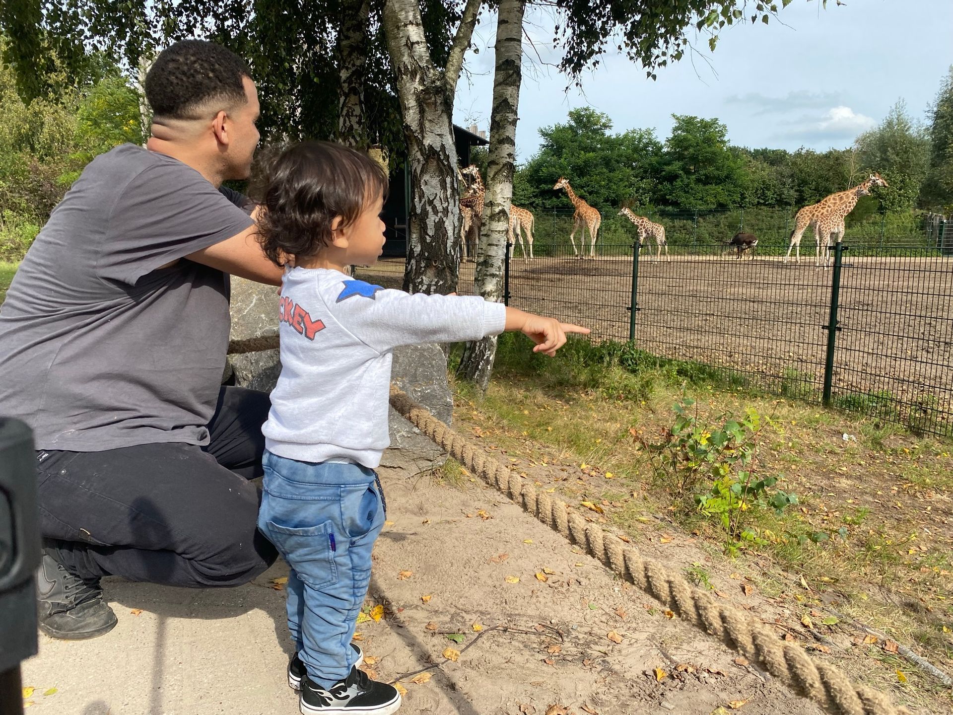 Een man en een kind wijzen naar giraffen in een dierentuin.