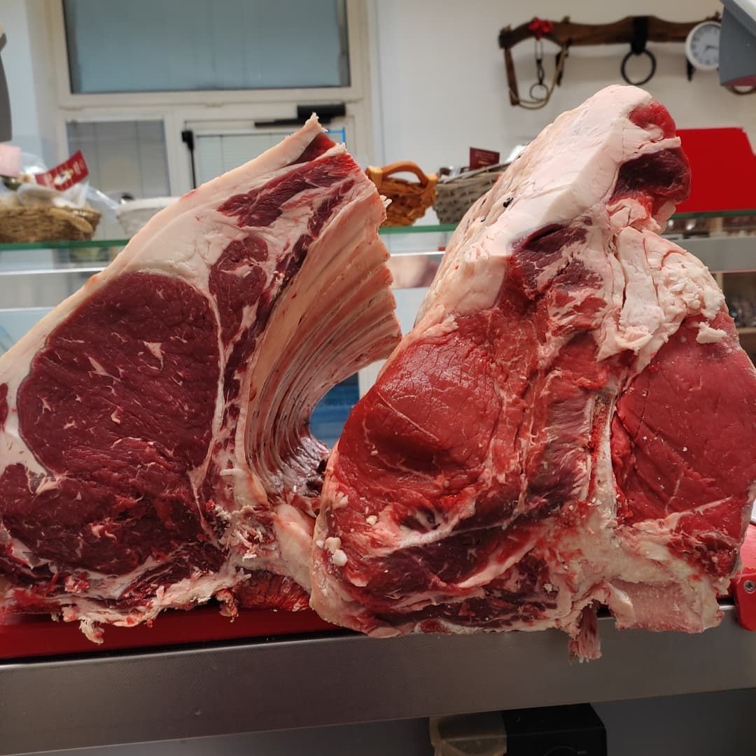 chianina