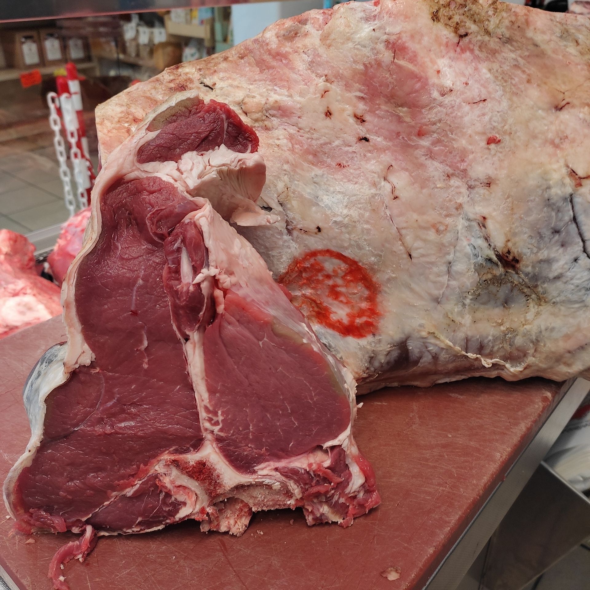 chianina