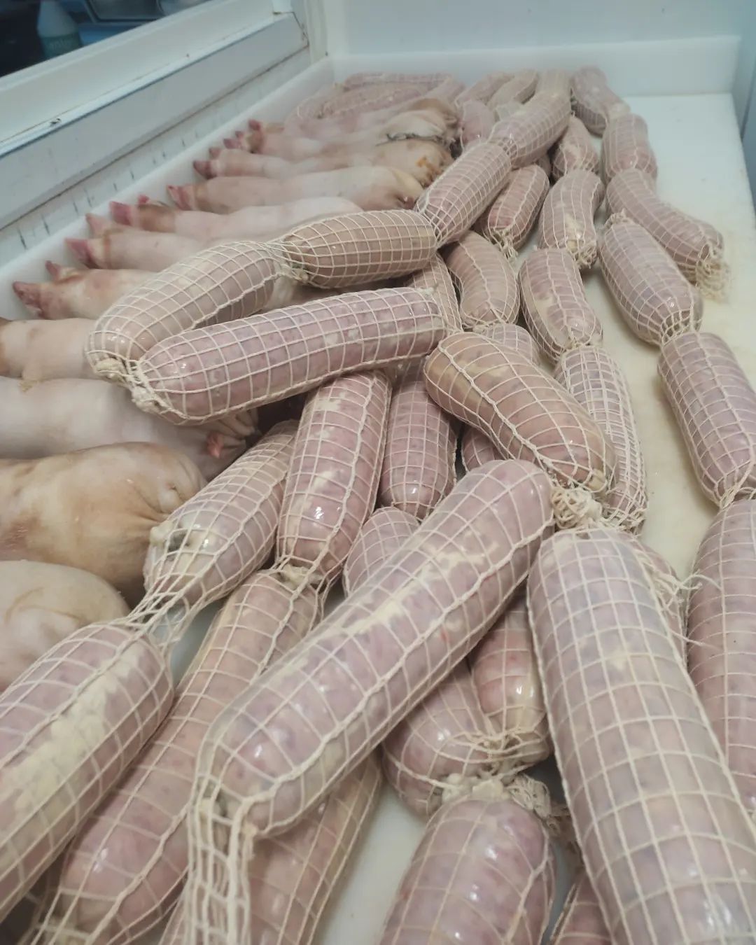 cotechino