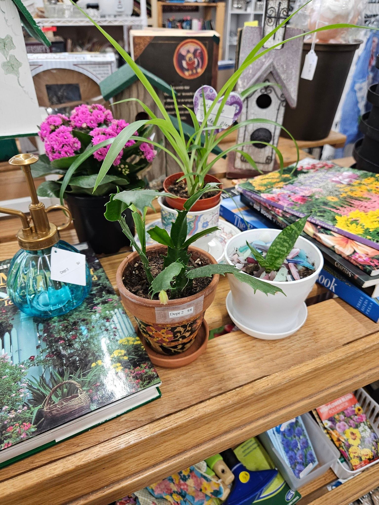 Indoor display of potted plants and colorful flowers on a wooden table in a shop or market