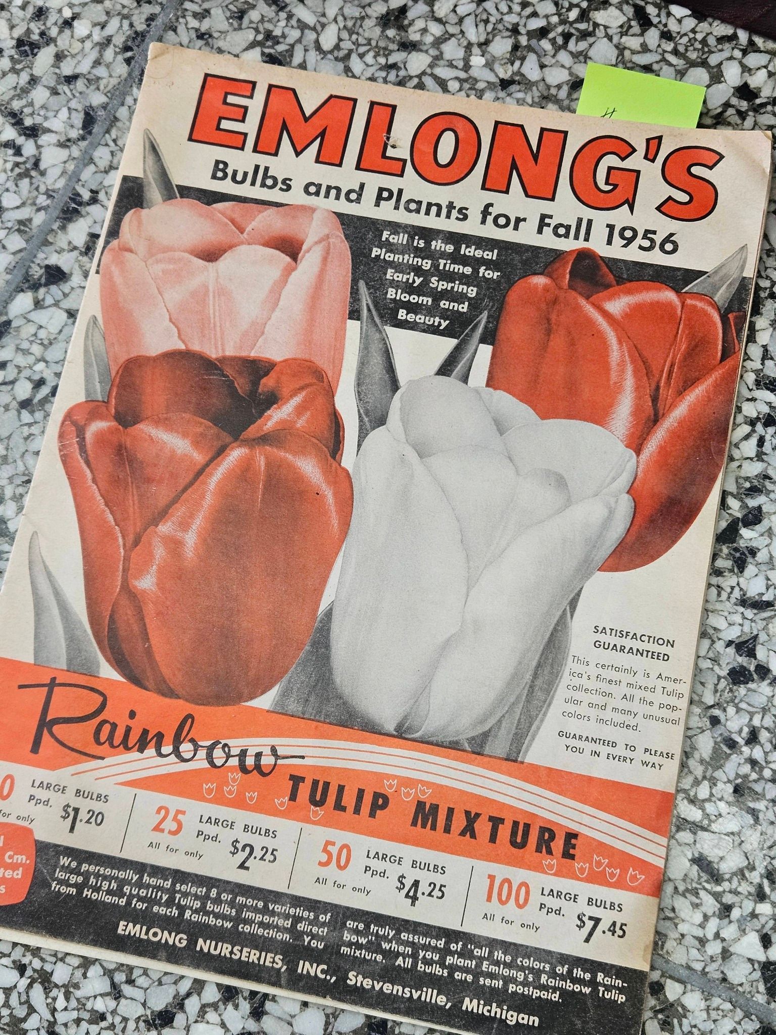 Emlong’s tulip bulb packet with red, white, and orange tulips and “Rainbow Tulip Mixture” label