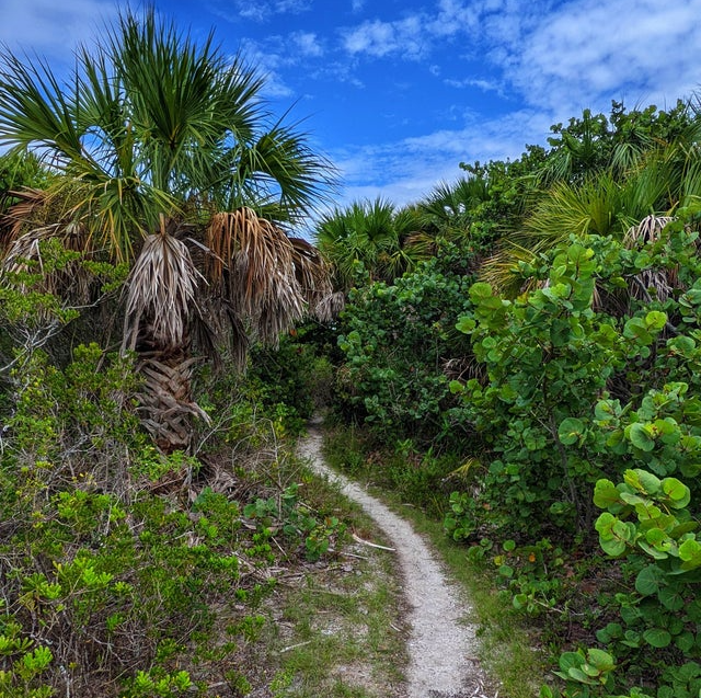 Sandy path winds through lush green vegetation, under a blue sky with clouds.