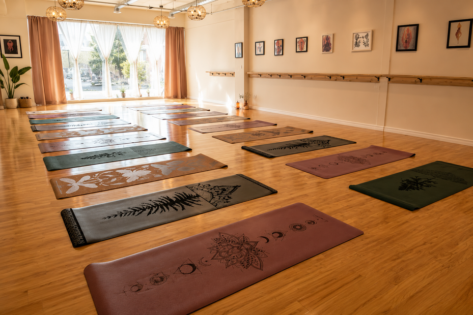 Yoga studio with mats arranged on a wooden floor in a sunlit room