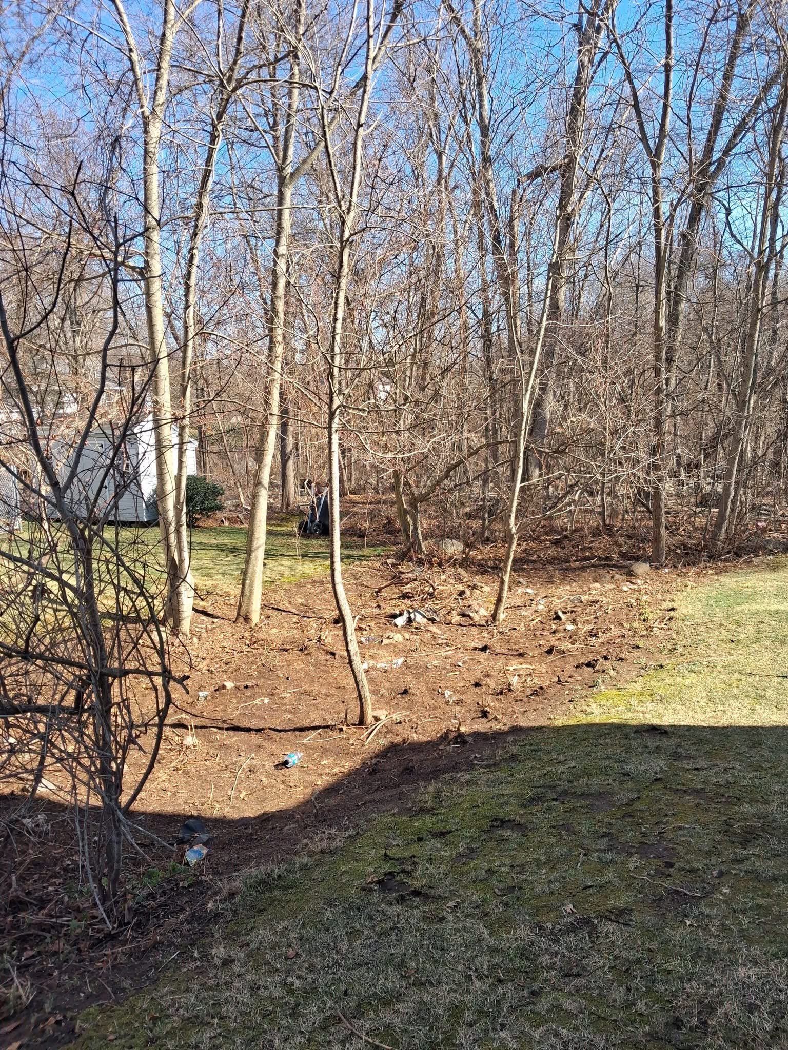 brush clear a yard n naugatuck, ct after the job was done