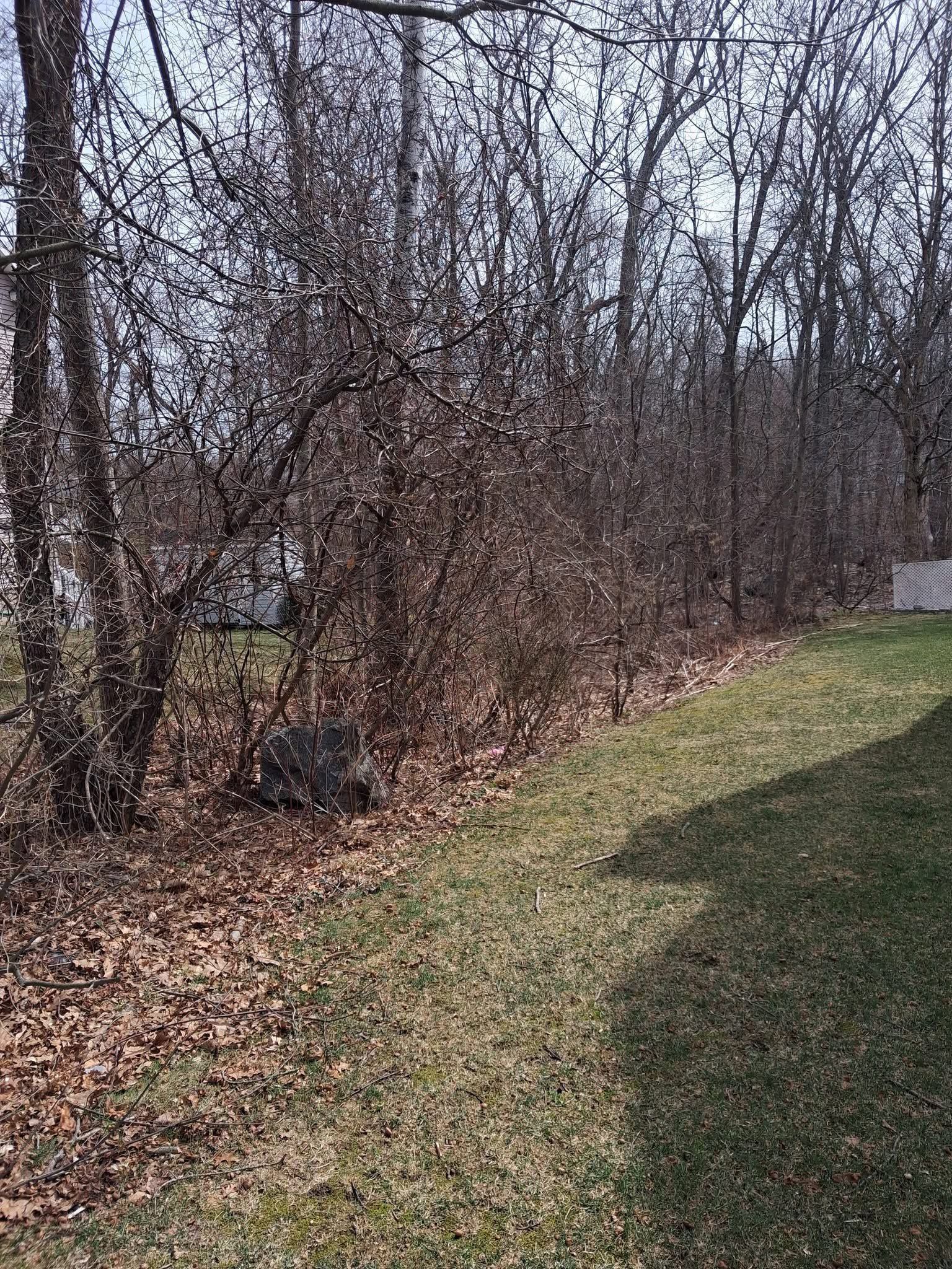 brush hog  and brush clear a yard in naugatuck, ct