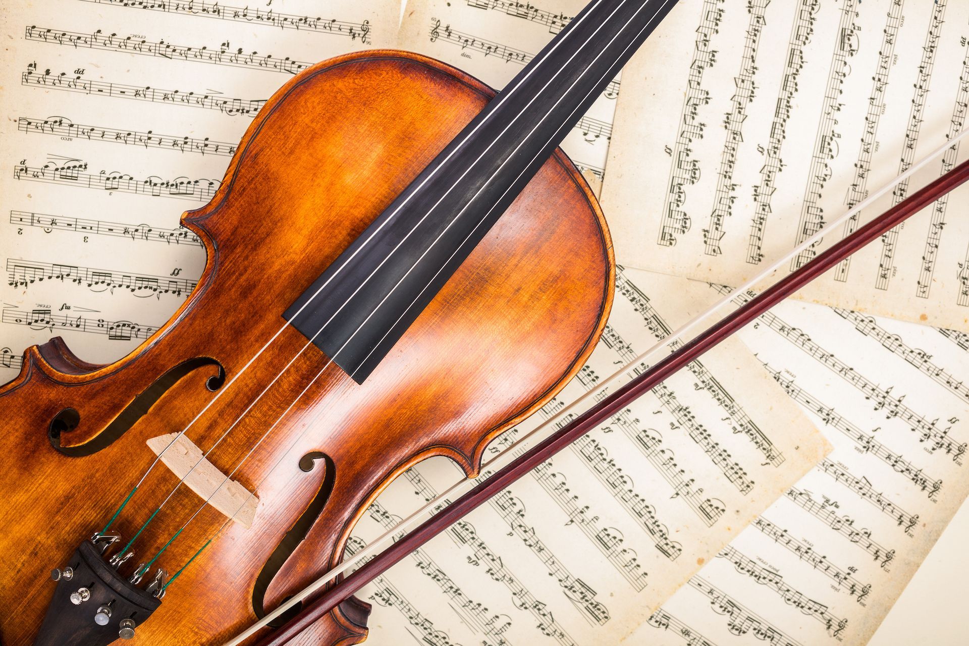 Violin & cello lessons near me in Scranton, PA.