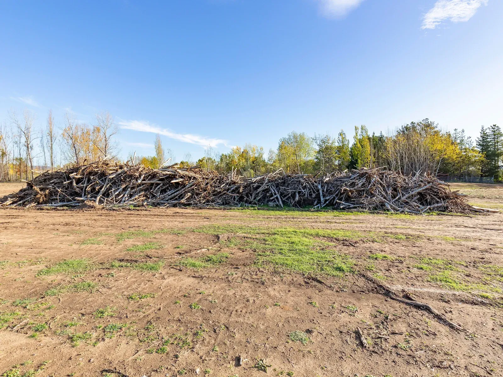 Pile of tree limbs and trunks from a tree clearing job near Davenport, IA.
