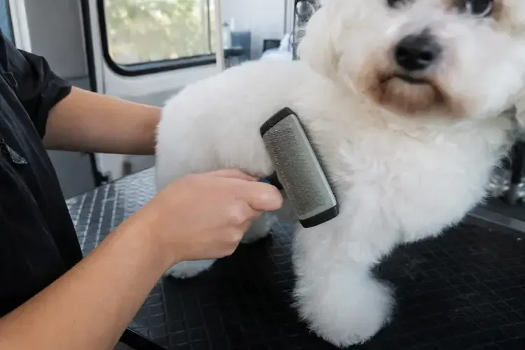 Person brushing a fluffy white dog in a grooming area on a vehicle seat