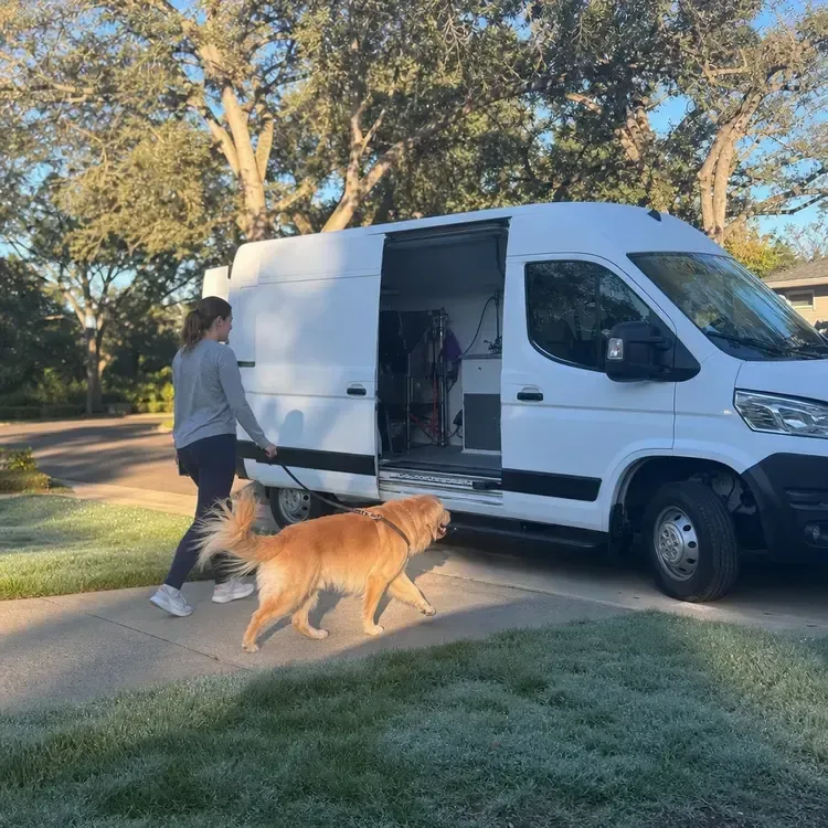 Person walking a golden dog beside a white van with open sliding door in a sunny park
