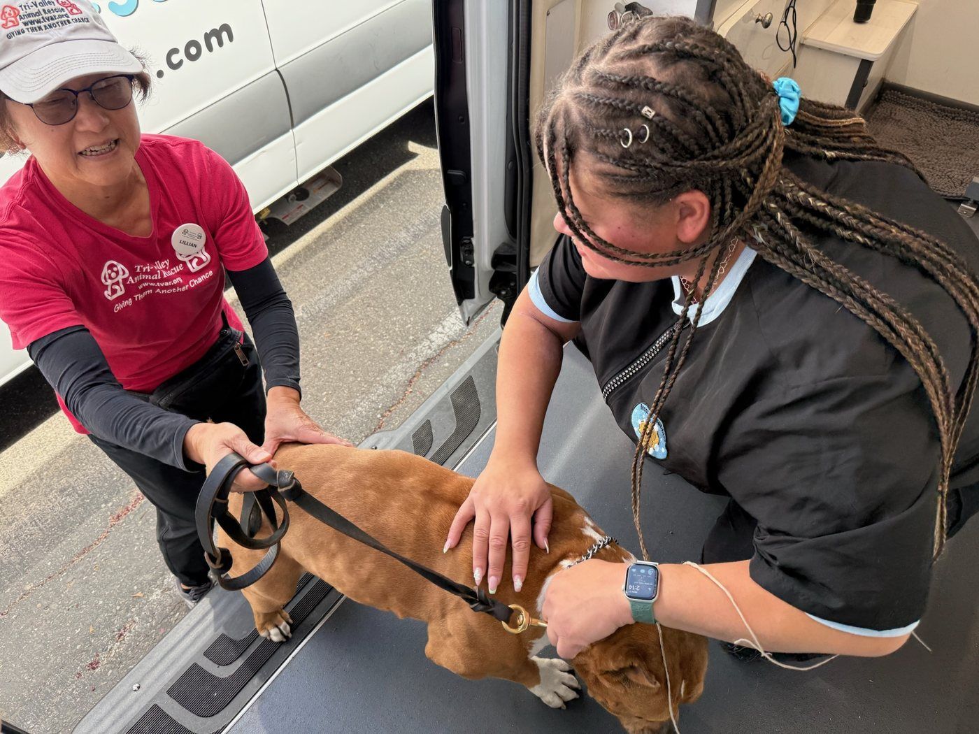 A Boops N' Bubbles groomer and East County Shelter staff member helping a rescue dog into a mobile grooming van