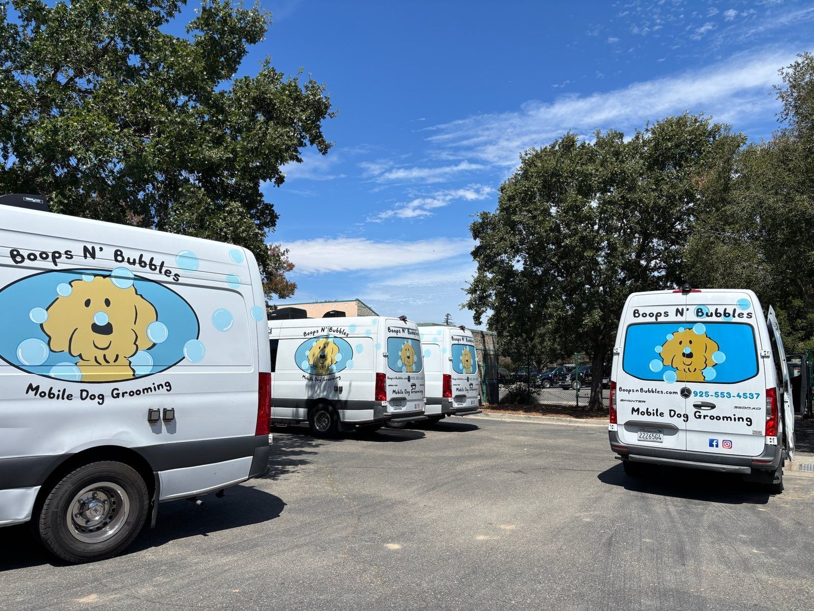 Boops N' Bubbles mobile grooming vans lined up at the East County Shelter in Dublin, CA