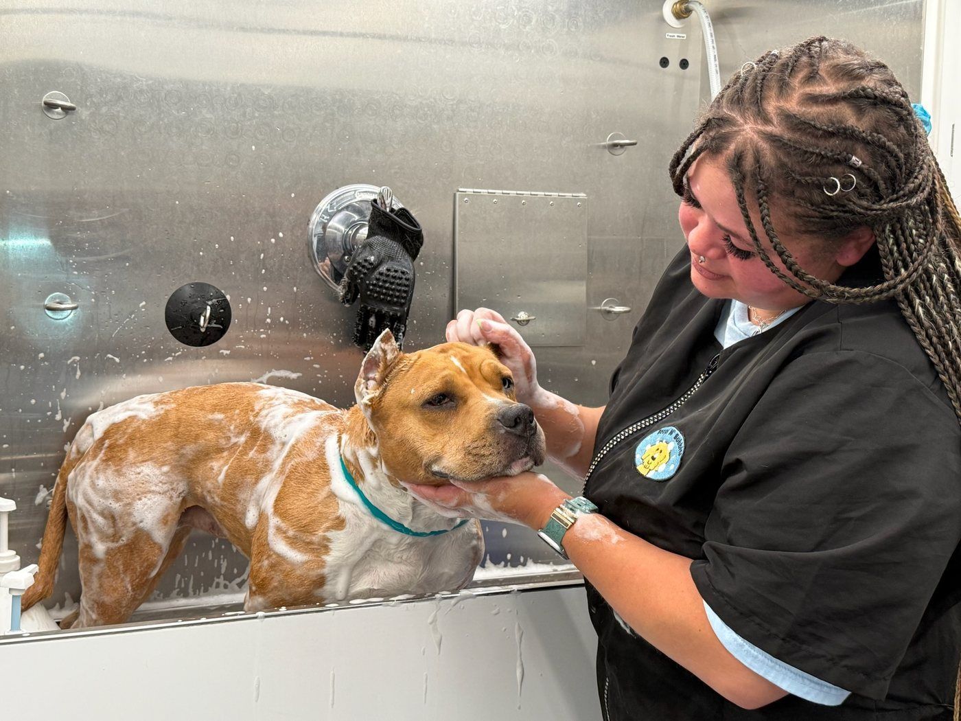 A shelter dog being bathed in the tub inside a Boops N' Bubbles mobile grooming van