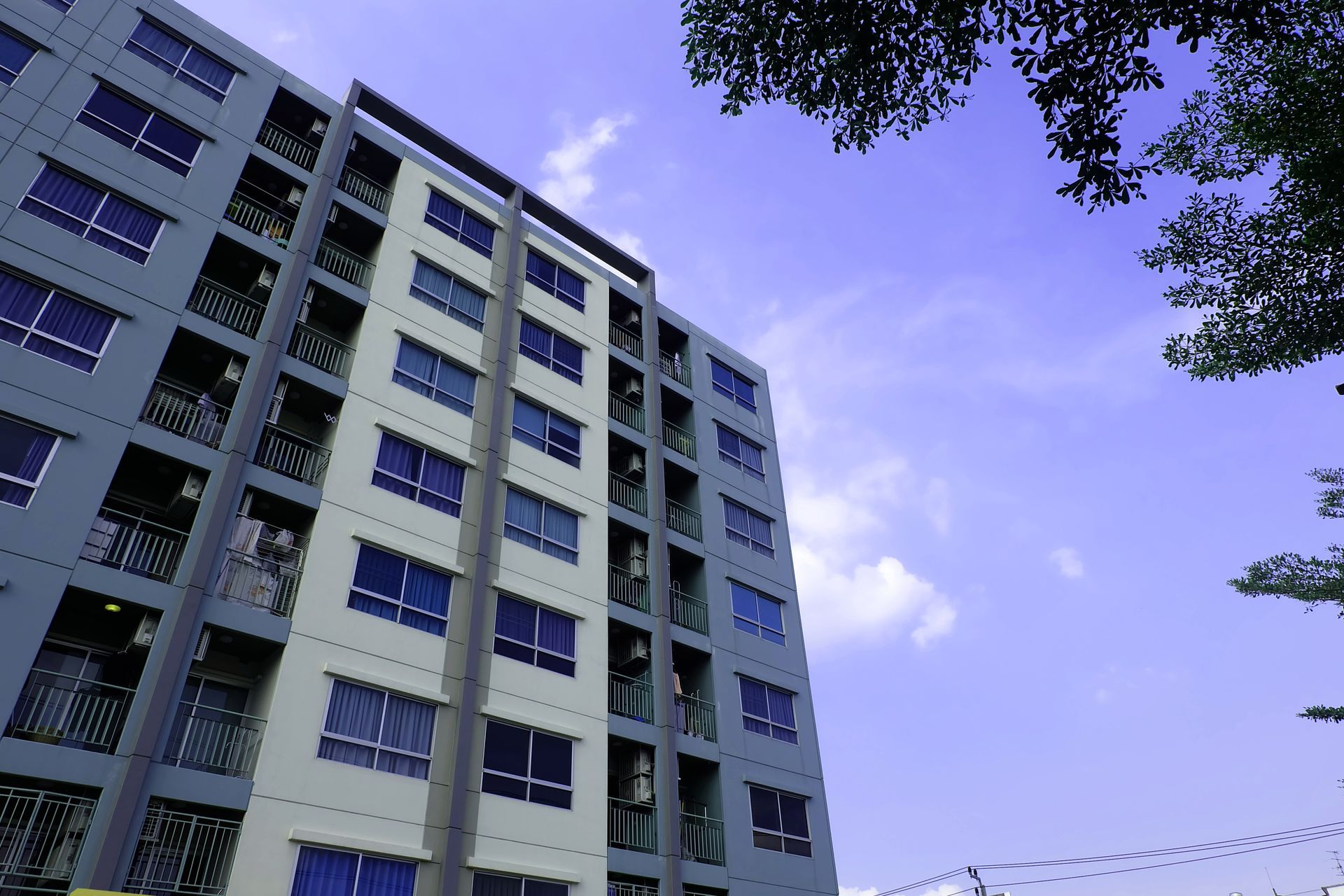 Tall apartment building against a blue sky, framed by tree branches