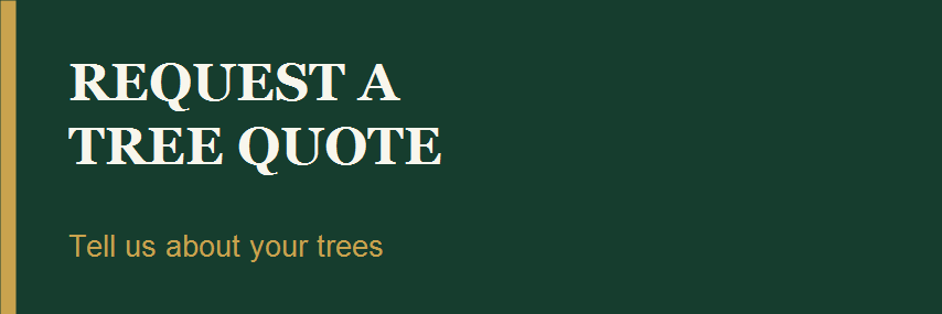 Request a tree quote — tell us about your trees