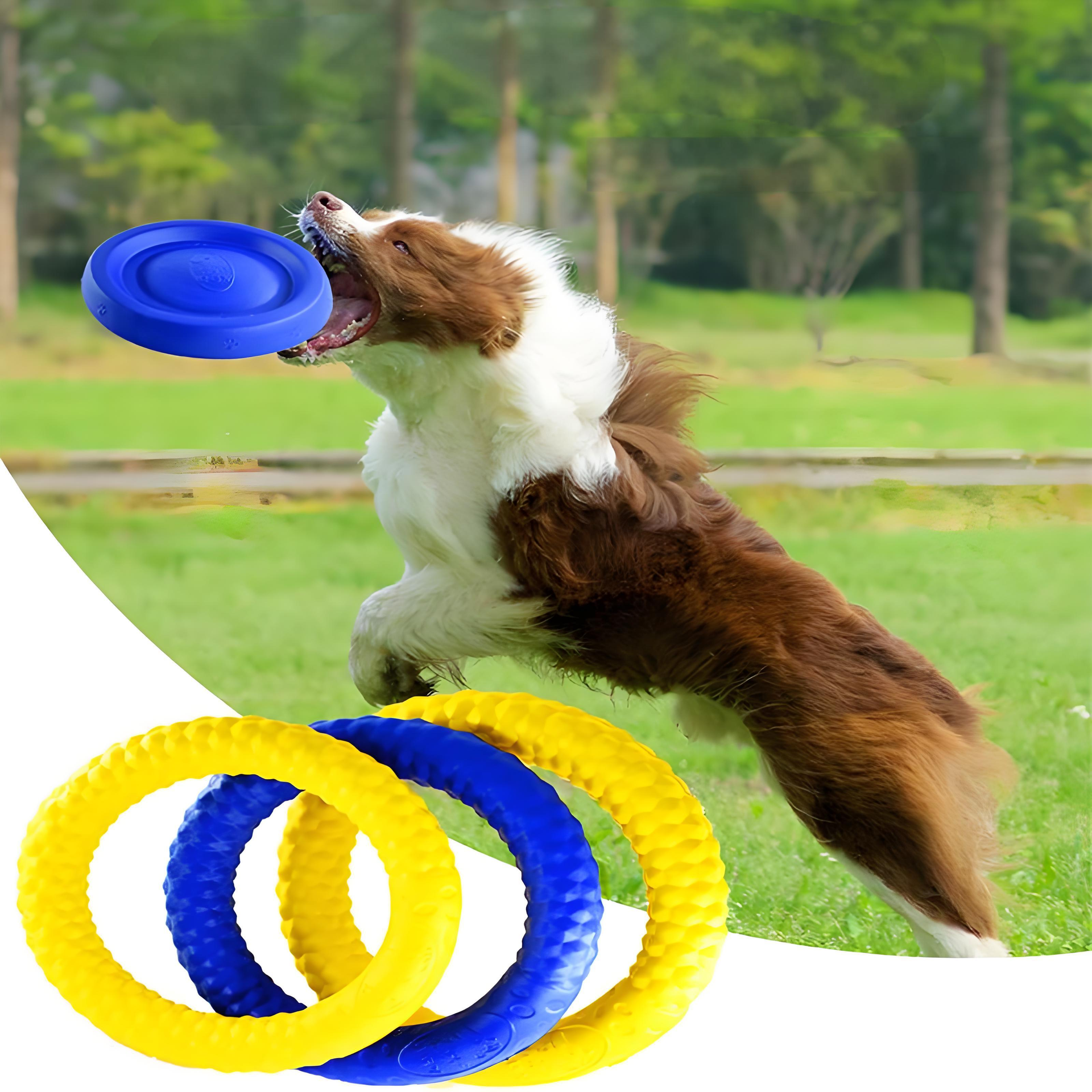 EVA disc