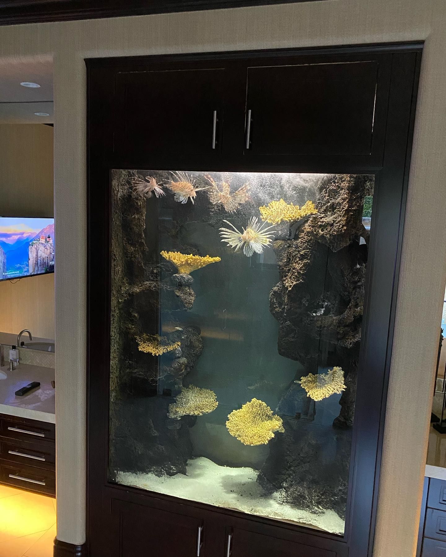 A large aquarium filled with lots of fish and corals