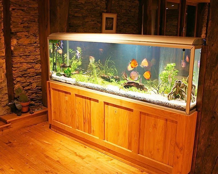 A large fish tank in a room with wooden cabinets