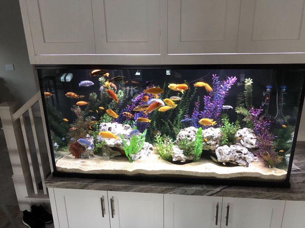 A large fish tank filled with lots of fish is sitting on a counter.