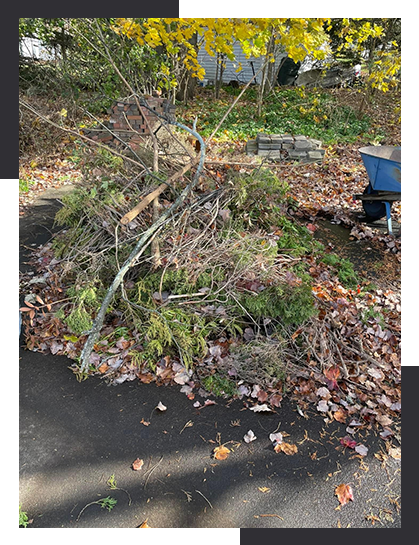 debris in the backyard
