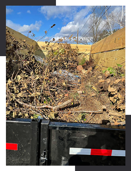 residential trash removing