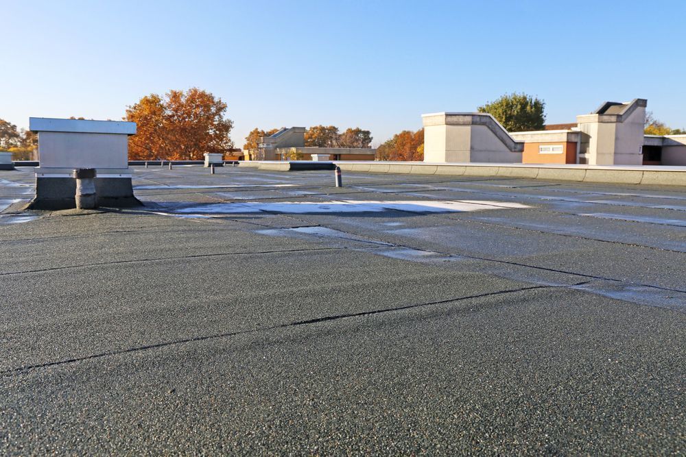 Flat commercial roof with vents and puddles, clear blue sky, fall foliage in the background.